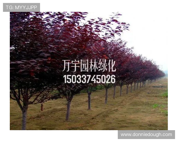 letou乐投平台安全可靠，保障玩家资金与信息安全，值得信赖的线上博彩选择